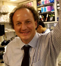 Pier Paolo Pandolfi, M.D.